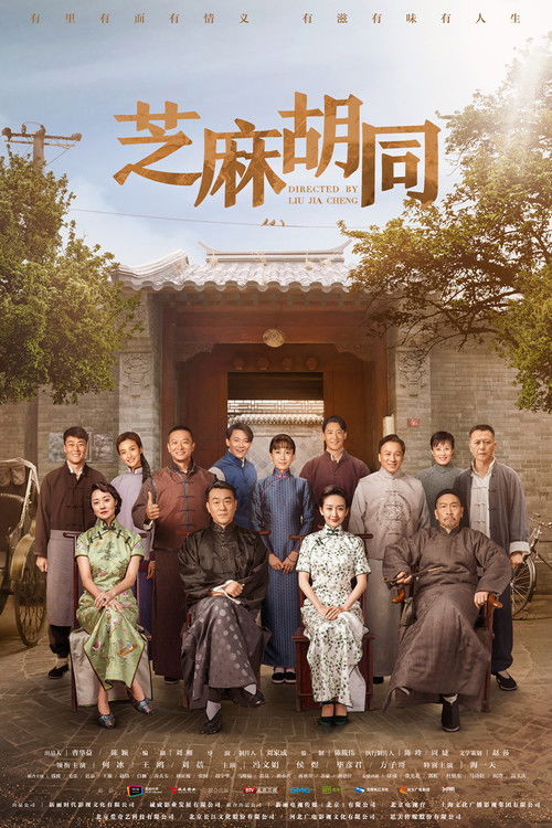 芝麻胡同 — постер