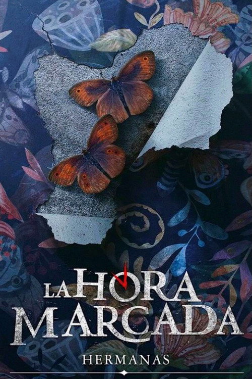 Hermanas — постер