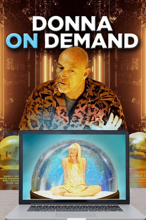 Donna on Demand — постер