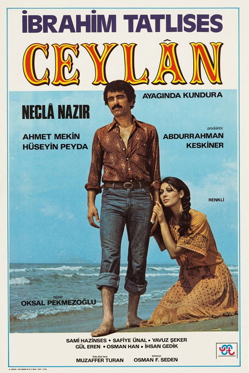 Ceylan — постер