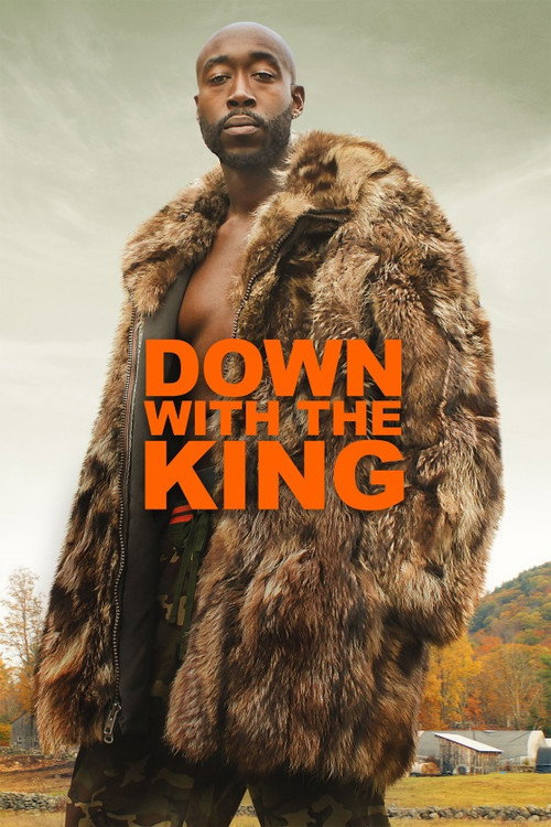 Down with the King — постер