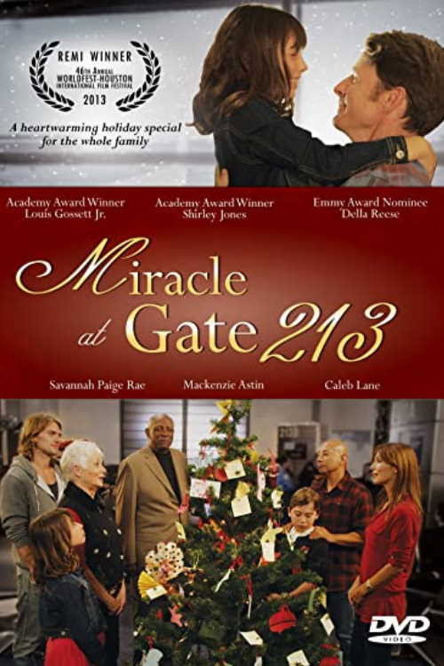 Miracle at Gate 213 — постер