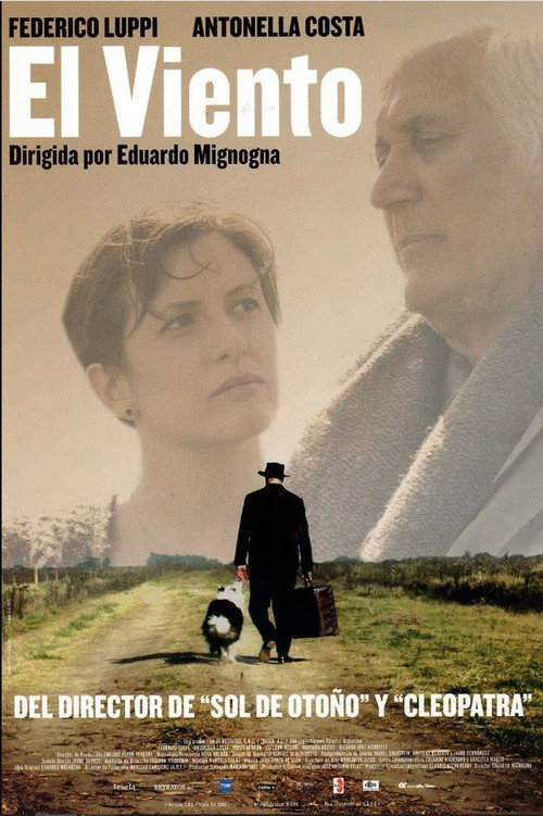 El viento — постер