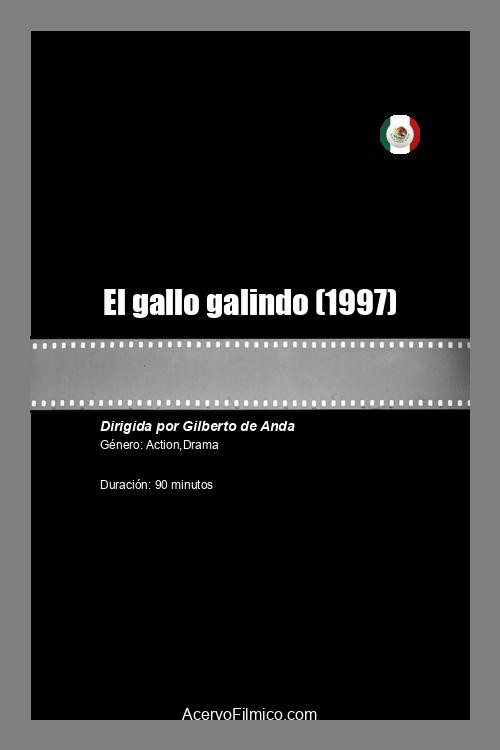 El gallo galindo — постер