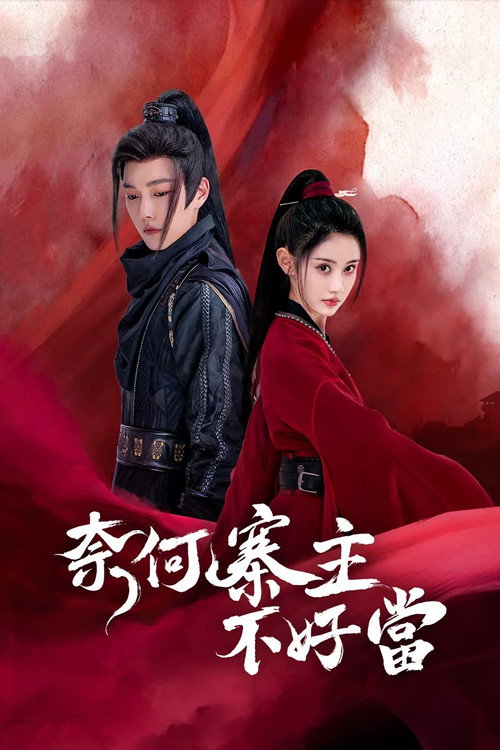 奈何寨主不好当 — постер