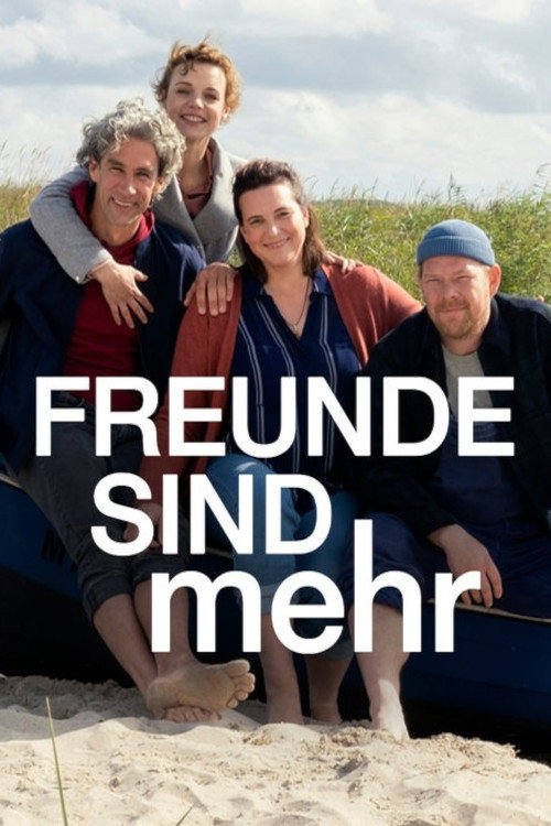 Freunde sind mehr - Viergefühl — постер