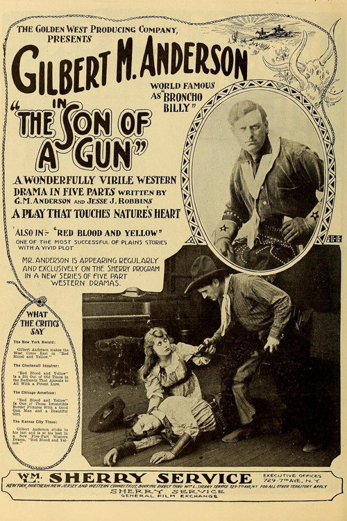The Son-of-a-Gun — постер