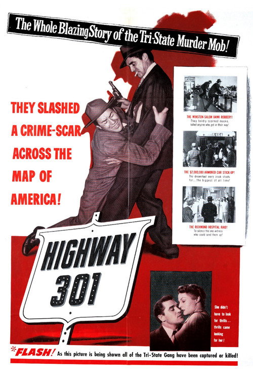 Highway 301 — постер