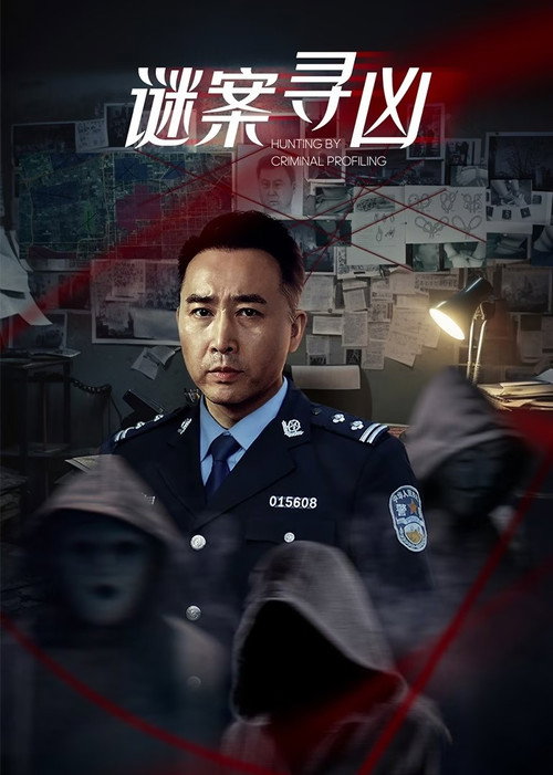 谜案寻凶 — постер