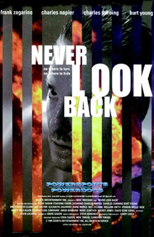 Never Look Back — постер
