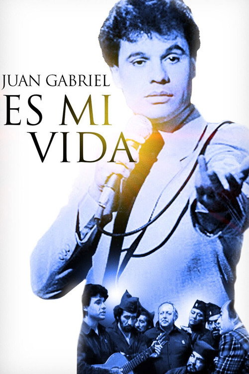 Es mi vida — постер
