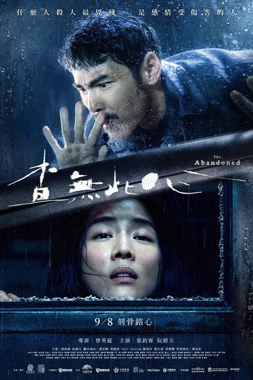 查無此心 — постер