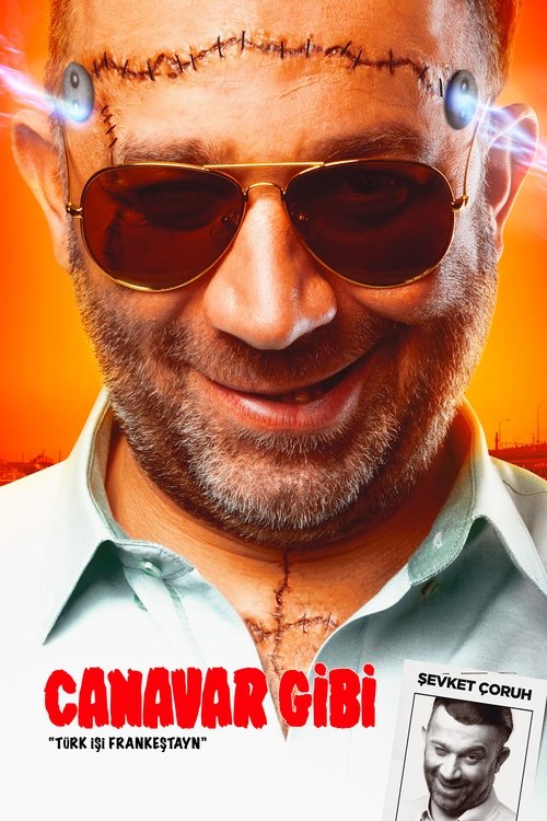 Canavar Gibi: Türk İşi Frankeştayn — постер