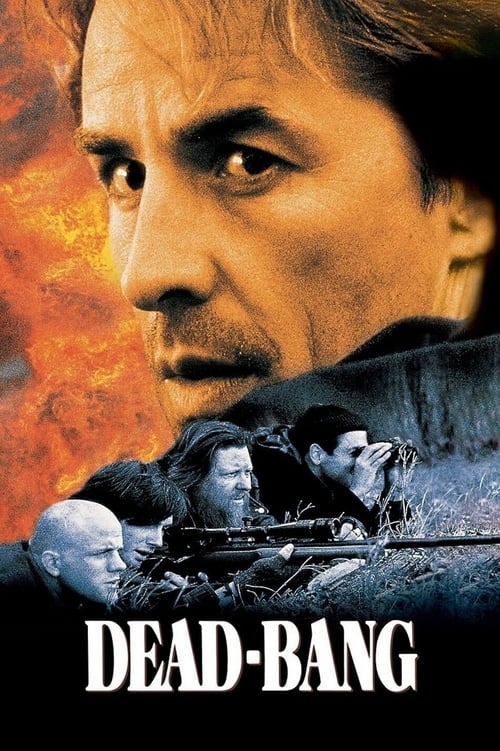 Смертельный выстрел — постер