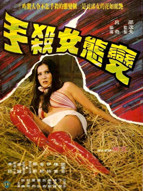 变态女杀手 — постер