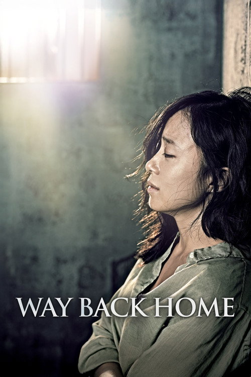 Way Back Home — постер