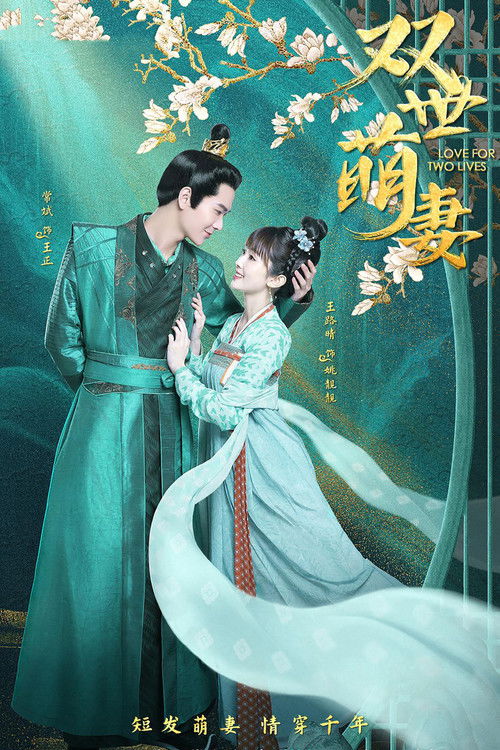 双世萌妻 — постер