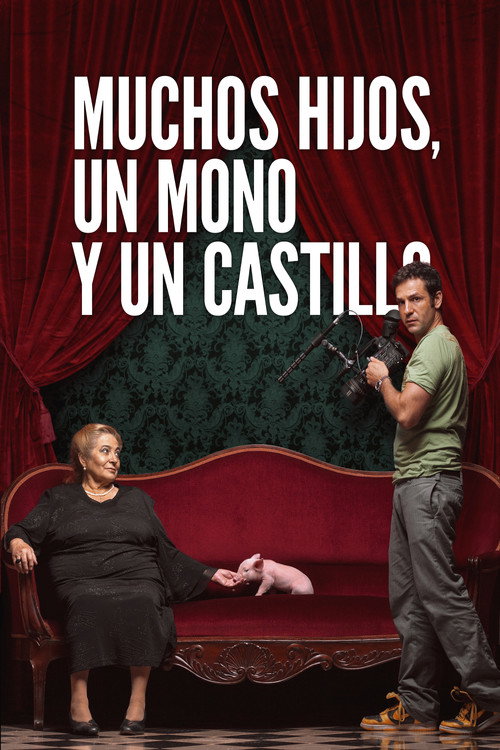 Muchos hijos, un mono y un castillo — постер