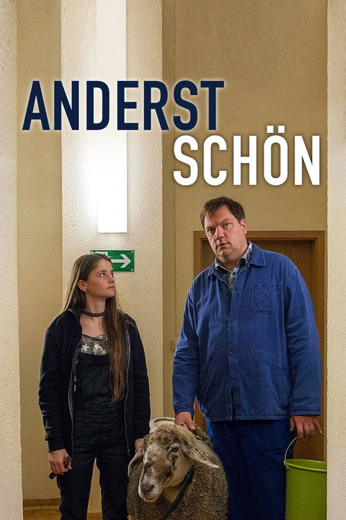 Anderst schön — постер
