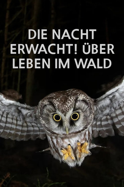 Die Nacht erwacht! Über Leben im Wald — постер