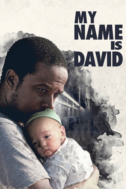 My Name Is David — постер