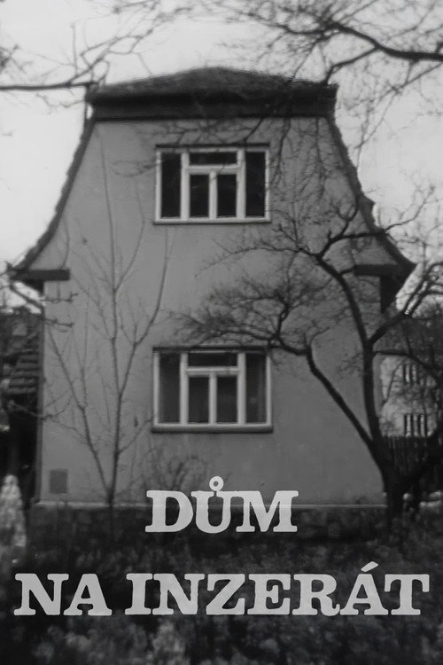 Dům na inzerát — постер