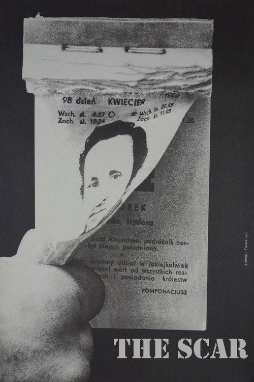 Шрам — постер