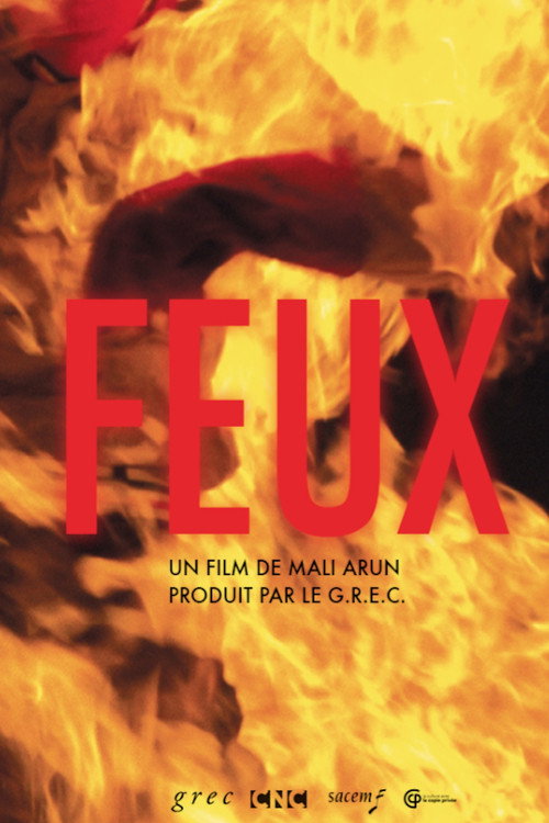 Feux — постер