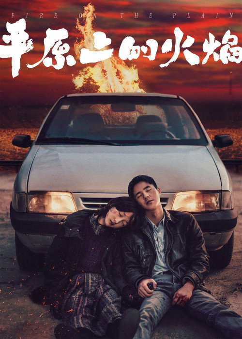 平原上的火焰 — постер