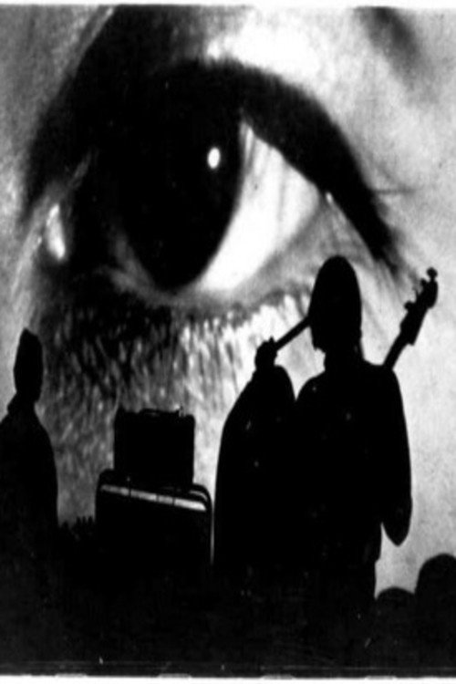 The Velvet Underground: Psychiatrist's Convention, NYC, 1966 — постер