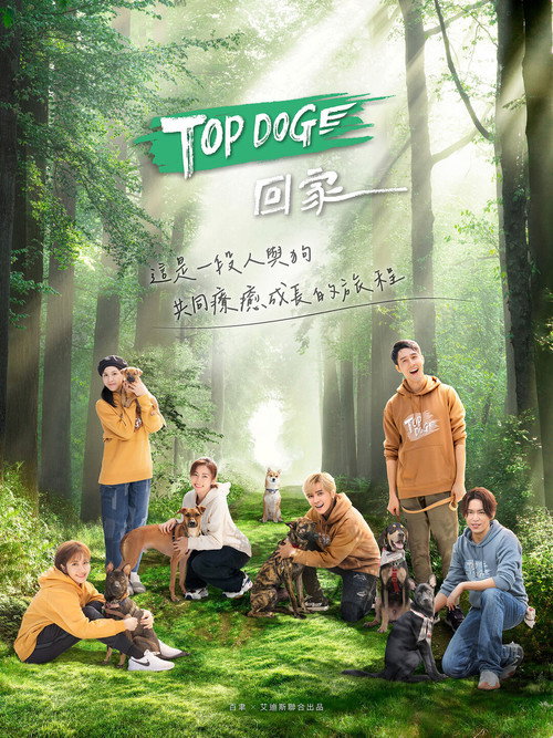 TOP DOG — постер