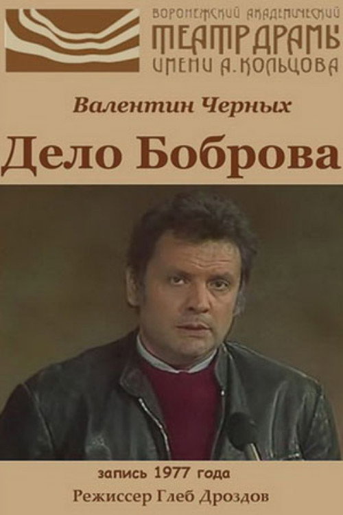 Дело Боброва — постер