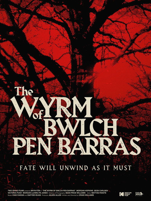 The Wyrm of Bwlch Pen Barras — постер