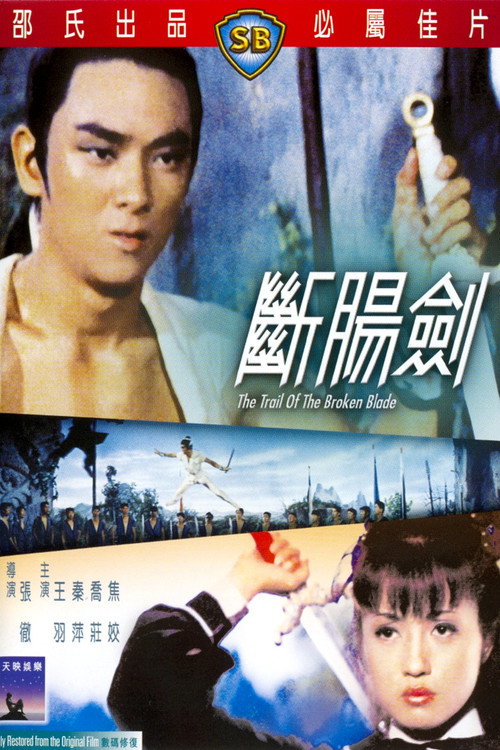斷腸劍 — постер