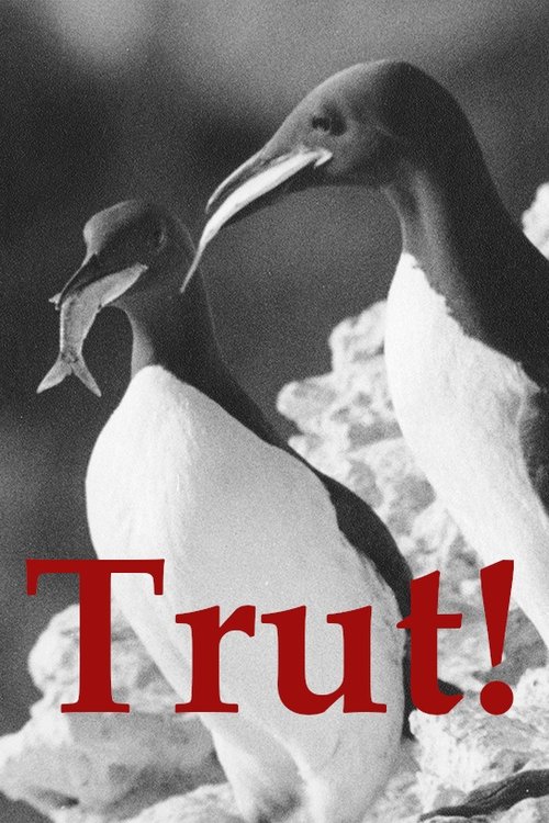 Trut! — постер