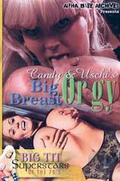 Big Breast Orgy — постер