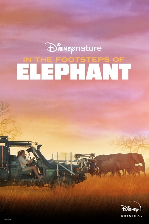 In the Footsteps of Elephant — постер