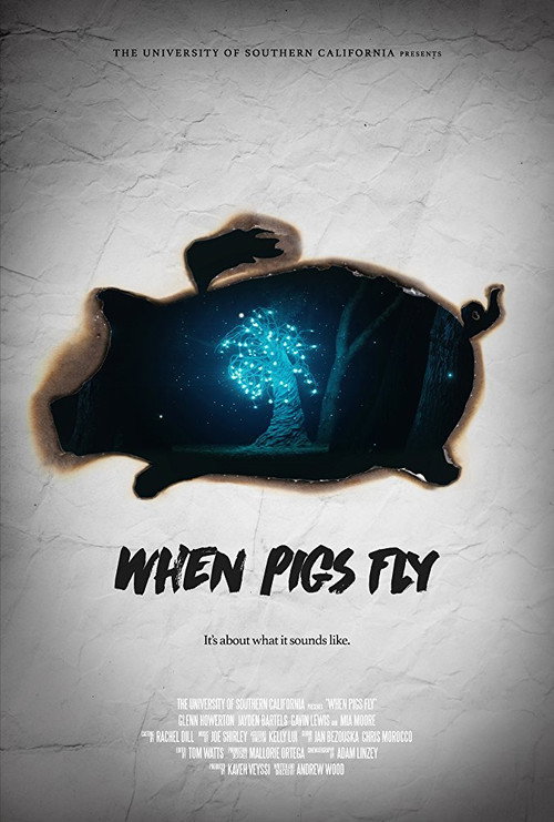When Pigs Fly — постер