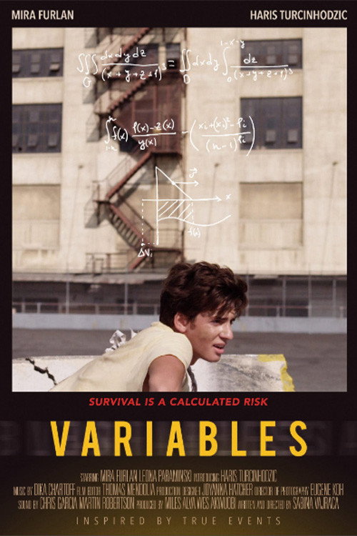 Variables — постер