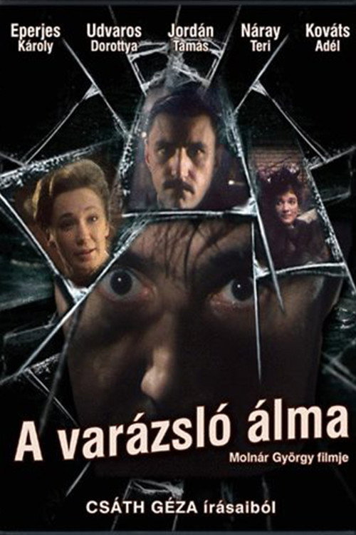 A varázsló álma — постер