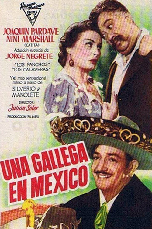Una gallega en México — постер