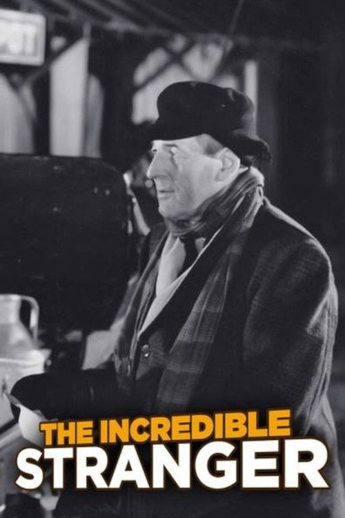 The Incredible Stranger — постер