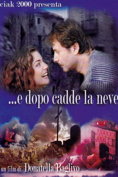 ...e dopo cadde la neve — постер