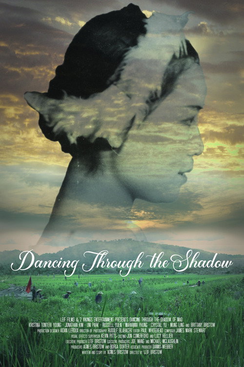 Dancing Through the Shadow — постер