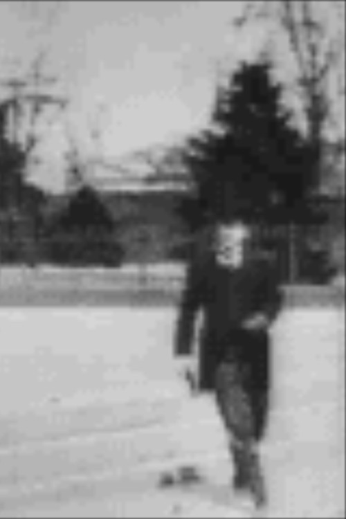 Theodore Roosevelt Leaving the White House — постер