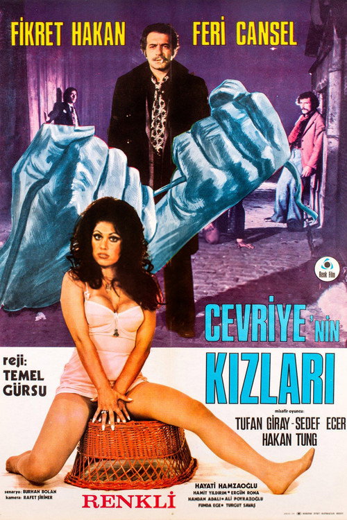 Cevriye'nin Kızları — постер