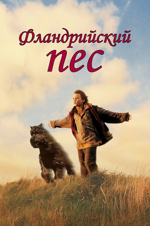 Фламандский пёс — постер