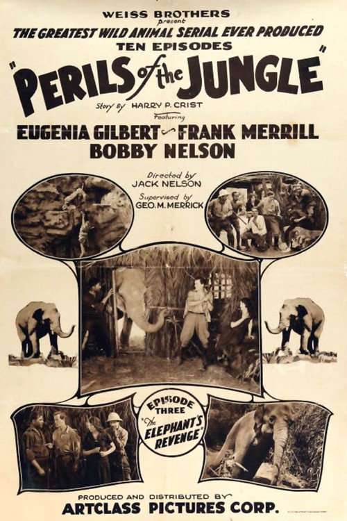 Perils of the Jungle — постер