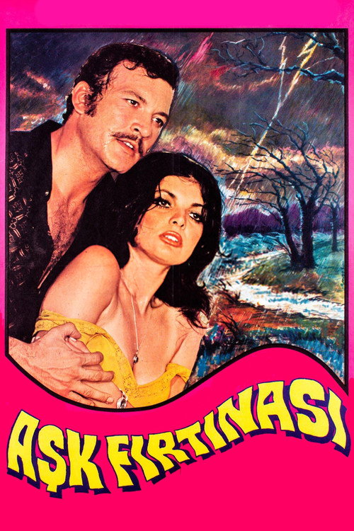 Aşk Fırtınası — постер