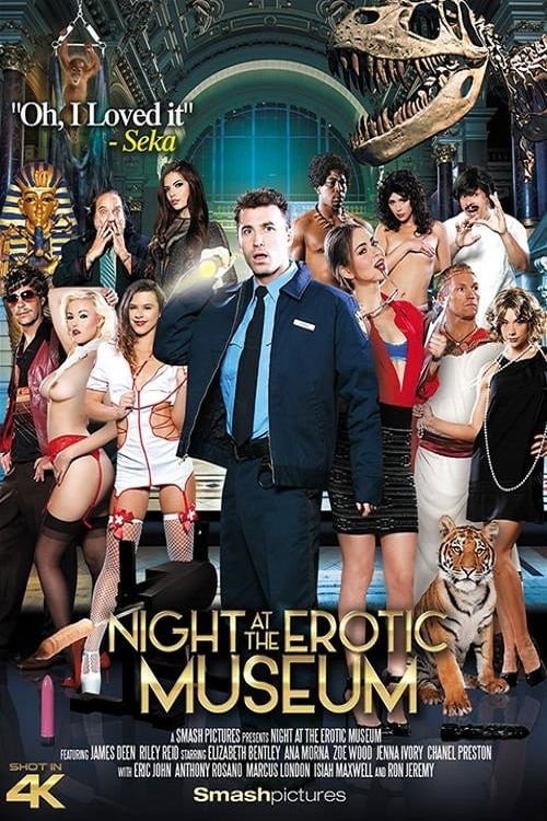 Night at the Erotic Museum — постер
